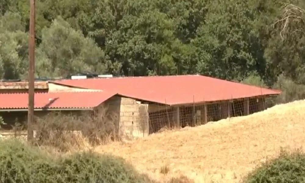 Παλεύει για τη ζωή του ο κτηνοτρόφος που πυροβόλησαν στο Ρέθυμνο – Οι αρχές ψάχνουν απαντήσεις στις κάμερες (Βίντεο)